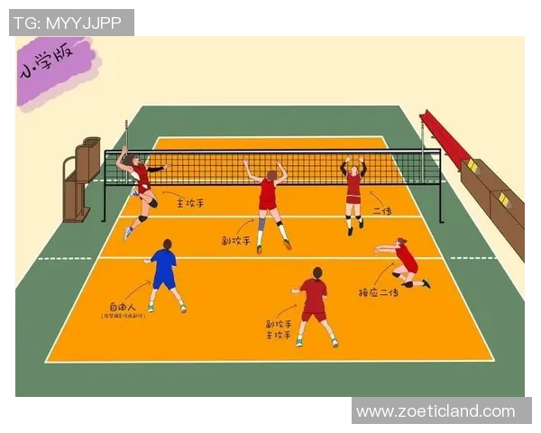 深入分析成都排球队控制打法的战术特点与应用策略