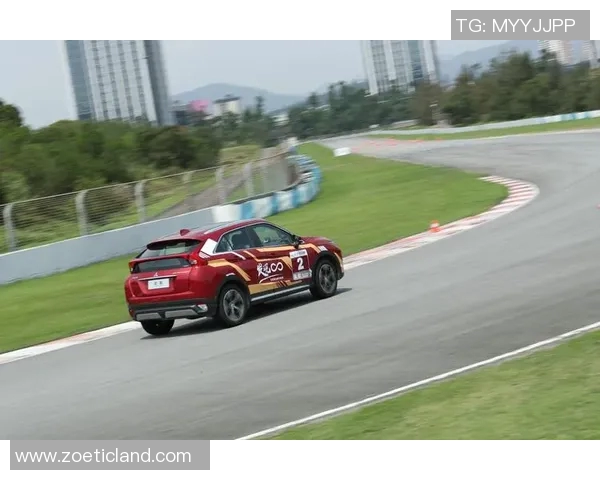 杭州极限运动队在极限运动联赛中的技术表现分析与点评