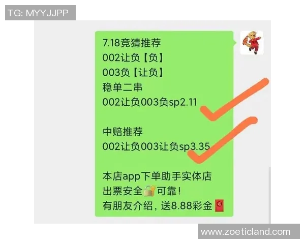 深圳足球队配合策略深度解析及对比分析