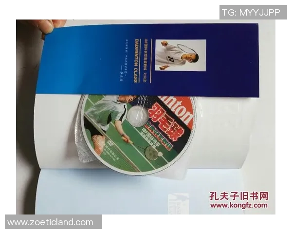 羽毛球战术解析：杭州羽毛球队的战术控制与团队协作体系探讨