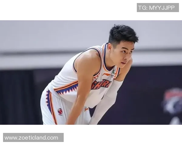 上海篮球队实力之争引发热议球迷与专家各执己见