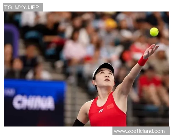 北京网球队在世界杯预选赛中的拼搏历程与荣耀追寻