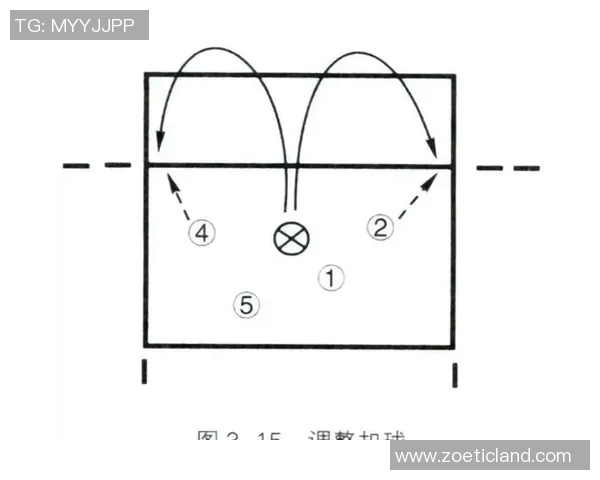 广州排球队精英赛战术分析与表现评估全面解读 广州排球队精英赛战术分析与表现评估全面解读